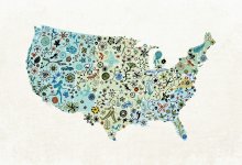 Illustration of United States map covered in doodles